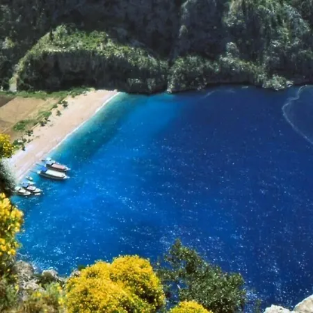 Tayfun アパートホテル オルデニズ